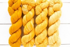 Merino-Gradient-Kit-802